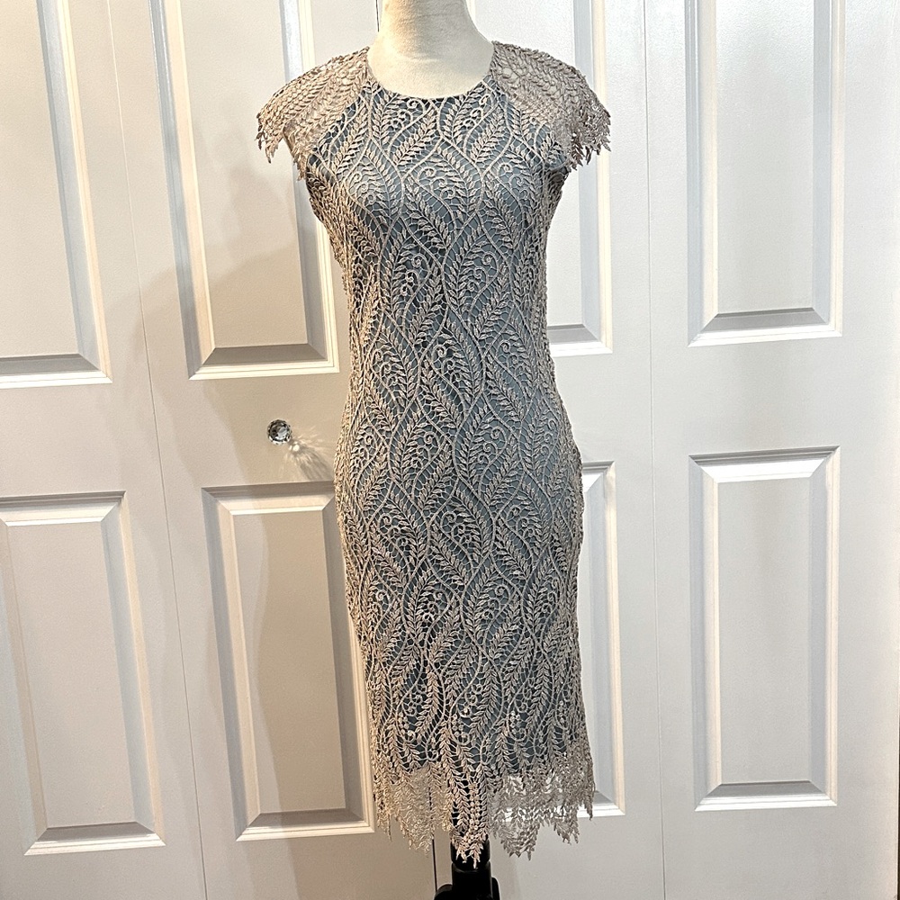 Elegant Lace Dress - Picture 1 of 6